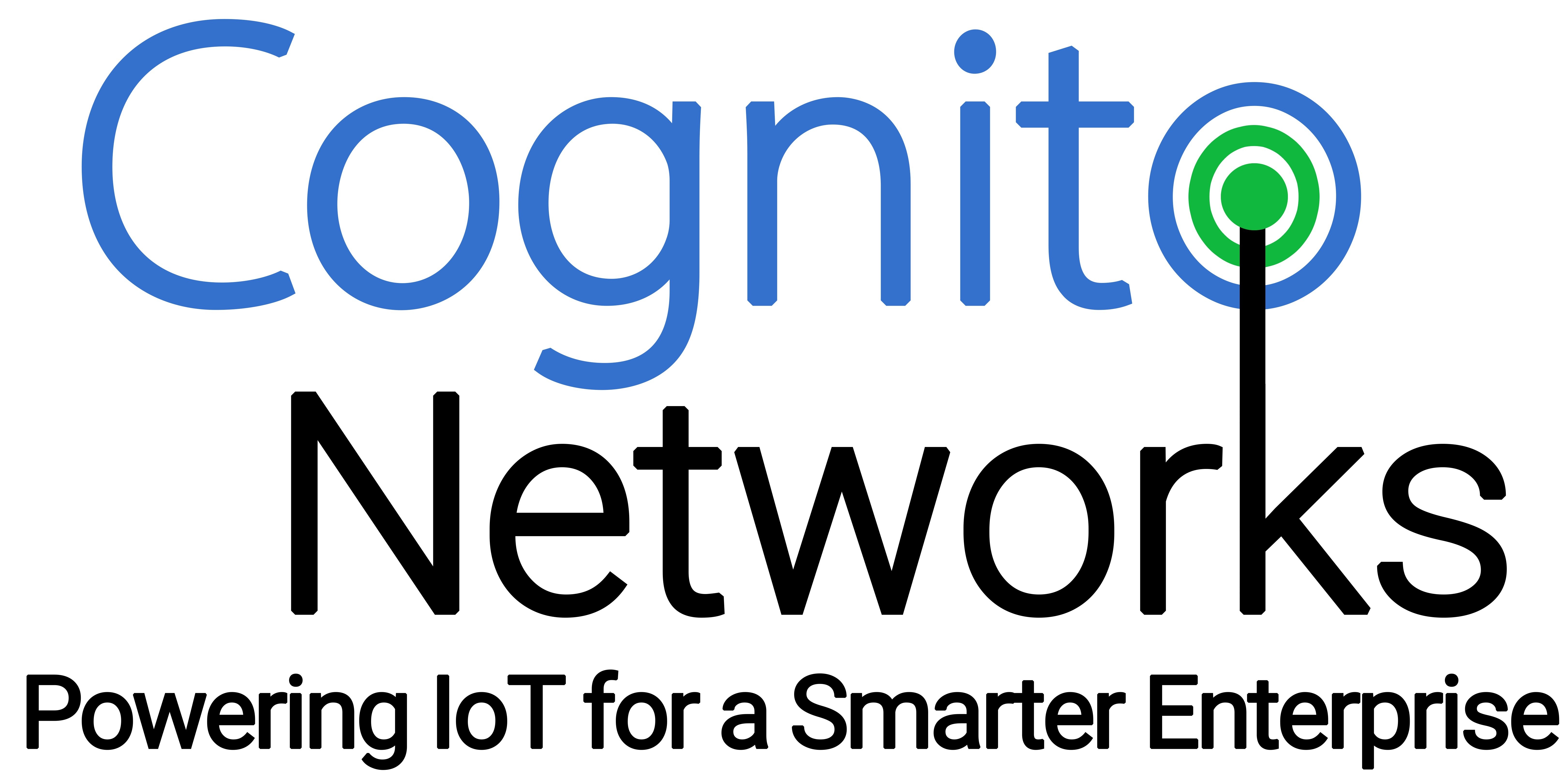 Cognito Networks, Inc.